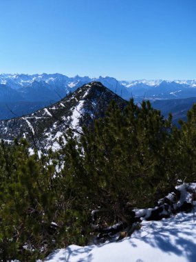 Yeşillik, karla kaplı bir dağ zirvesini çerçeveler. Nefes kesen manzara, açık mavi gökyüzünün altında geniş bir sıradağları yakalıyor..