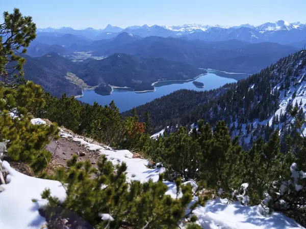 Yüksek bir bakış açısından, sakin mavi göl parlak güneşin altında parıldıyor, karla kaplı dağlar ve önplanda daima yeşil ağaçlarla çevrili, doğanın güzelliğini gösteriyor..
