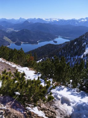 Bavyera 'da karla kaplı dağlarla çevrili sakin bir göl manzarası. Parlak mavi gökyüzü, aşağıdaki karlı arazi ve yemyeşil ile çarpıcı bir kontrast yaratır..