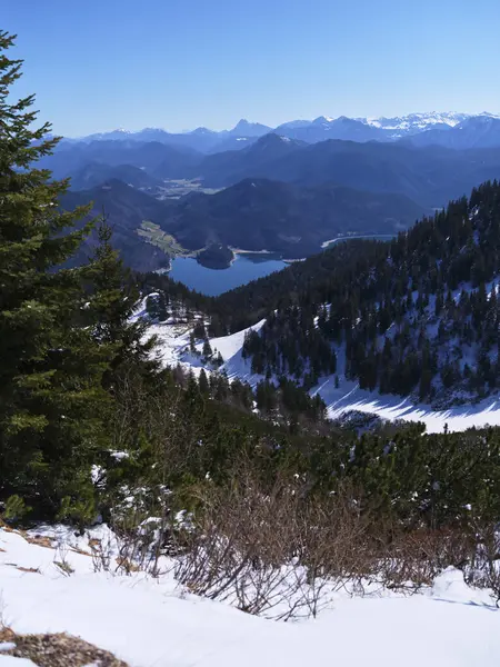 Bir dağ zirvesinden nefes kesici bir manzara. Karla kaplı tepeler arasında uzanan donmuş bir göl. Ve açık mavi bir kış günü açık mavi gökyüzünün altında yemyeşil ağaçlar..