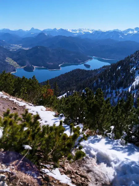 Bavyera 'da karla kaplı dağlarla çevrili sakin bir göl manzarası. Parlak mavi gökyüzü, aşağıdaki karlı arazi ve yemyeşil ile çarpıcı bir kontrast yaratır..