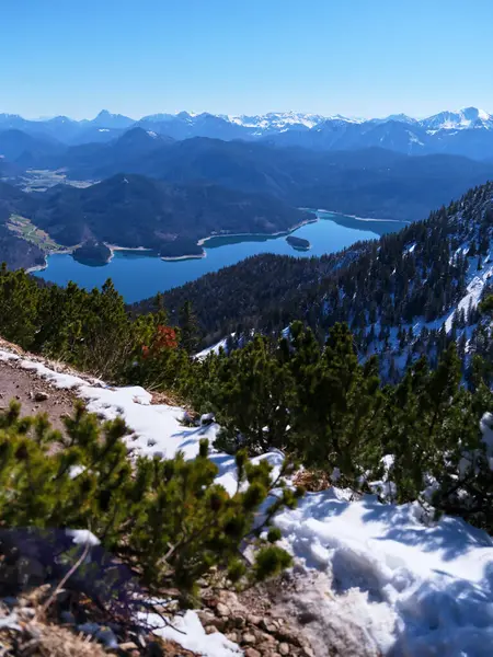 Uçsuz bucaksız dağ manzarası, yemyeşil yemyeşil ve parlak mavi gökyüzünün altında yükselen karla kaplı dağlarla çevrili sakin bir göl sergiliyor. Açık hava meraklıları için ideal..