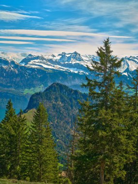 İsviçre Alpleri 'nin nefes kesici bir görüntüsü. Yüksek, karla kaplı zirveler ve parlak mavi bir gökyüzüne kurulmuş yemyeşil kozalaklı ağaçlar. Manzara ilkbaharda doğal güzelliği vurgular..