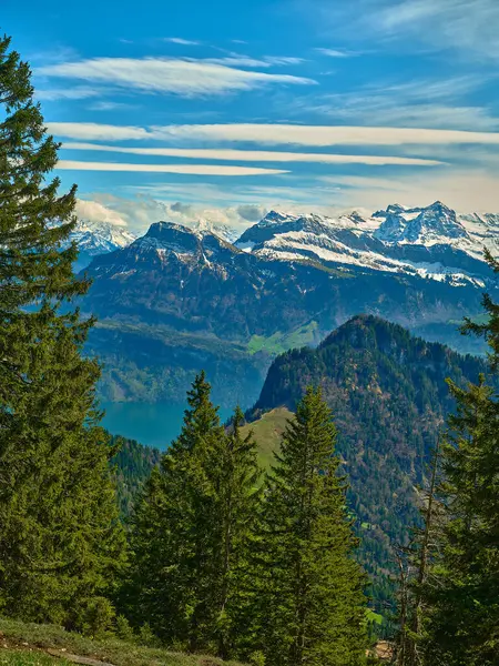Karla kaplı tepeler, yüksek kozalaklı ağaçlarla çevrili yeşil tepelerin üzerinde görkemli bir şekilde yükseliyor. Açık mavi gökyüzü, İsviçre Alplerinin güzelliğini gözler önüne sererek çarpıcı manzarayı tamamlıyor..