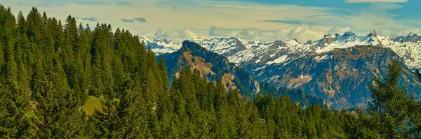 Bereketli yeşil ormanlar açık mavi gökyüzünün altındaki görkemli karla kaplı dağlara karşı çarpıcı bir kontrastlık yaratır..