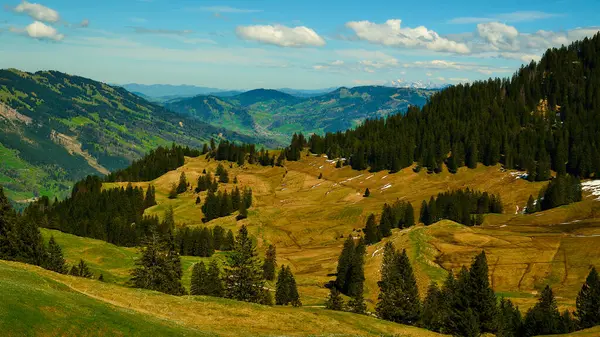 Yeşil yamaçlı ve karlı dağlık bir arazinin çarpıcı manzarası. Uzun ağaçlar manzarayı noktalıyor, ve kabarık bulutlar mavi gökyüzünde sürükleniyor, sakin bir atmosfer yaratıyor..