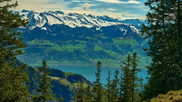 Uzun ağaçlar, sakin bir gölün üzerinde yükselen karla kaplı dağların çarpıcı manzarasını oluşturur. Kontrastın altındaki canlı yeşil vadiler berrak bir gökyüzünün altındaki zirvelerle çok güzel..
