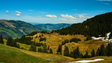 Geniş arazide yemyeşil tepeler, dağınık ağaçlar ve uzak karla kaplı dağlar bulunur. Parlak güneş ışığı, dingin bir atmosfer yaratmak için canlı gölgeler oluşturur..