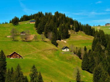 Büyüleyici ahşap evlerle kaplı yuvarlanan yeşil tepeler güzel bir kırsal alan oluşturuyor. Parlak mavi gökyüzü huzurlu ortamı güçlendirir ve doğaya huzurlu bir kaçış sağlar..