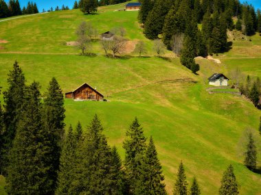 Yuvarlanan yeşil tepelerde uzun çam ağaçlarının arasına yuva yapmış tuhaf ahşap evler bulunur. Titreşimli manzara, doğanın dinginliğini güneşli bir yerde yakalar..