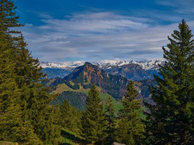 Yükselen ağaçlar temiz bir gökyüzünün altında nefes kesici bir dağ manzarası oluşturuyor. Karla kaplı zirveler arka planda görkemli bir şekilde yükselir, parlak bir günde doğanın güzelliğini gözler önüne serer..