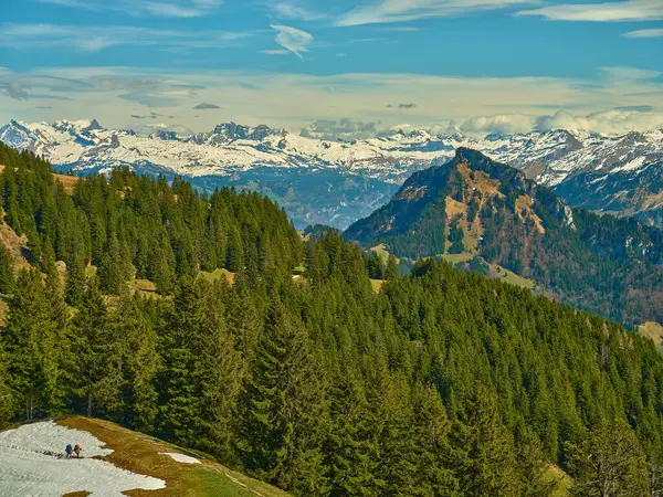 İsviçre Alpleri 'nin nefes kesici manzarası karla kaplı tepeler, canlı yeşil ormanlar ve baharda güneşli bir gökyüzünün altında kalan kar parçalarını gözler önüne seriyor..