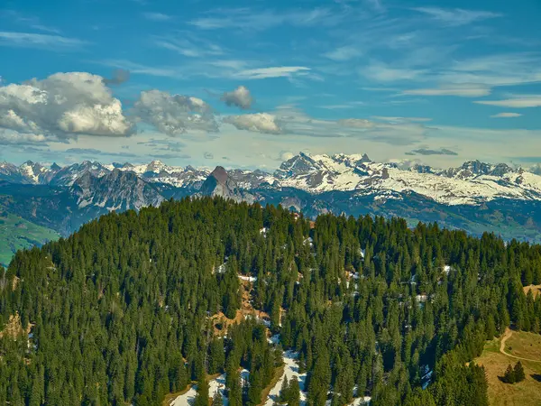 Karla kaplı zirveler İsviçre Alpleri 'ndeki canlı yeşil ormanların üzerinde görkemli bir şekilde yükselir. Parlak mavi gökyüzü ve dağınık bulutlar güzel bir öğleden sonra nefes kesici manzarayı tamamlıyor..