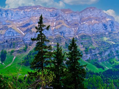 Güneşli bir günde yeşil yapraklar ve uzun kozalaklı ağaçlarla çevrili, arka planda yükselen yüksek dağ sıraları güzellikleri ve dinginliği gözler önüne seriyor..