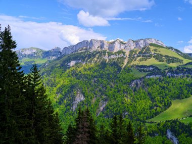 Kayalık kayalıkları çevreleyen yemyeşil ormanlar dağınık bulutlu mavi bir gökyüzünün zeminine karşı görkemli bir şekilde yükseliyor. Sahne, sakin bir dağ manzarasında güzelliği yakalar..