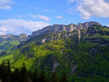 Serene sıradağları tepeler ve parlak mavi bir gökyüzünün altında dağınık bulutlarla canlı yeşil ağaçlar sergiliyor. Doğa bu huzurlu ortamda gelişiyor..