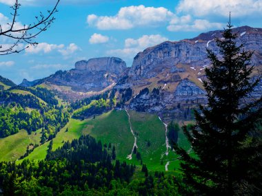 Görkemli dağlar berrak mavi gökyüzüne karşı yükselir, yemyeşil vadileri ve dağılmış ağaçları resimli bir dağlık bölgede sergiler. Gündüz sakin bir atmosfer hakim olur..
