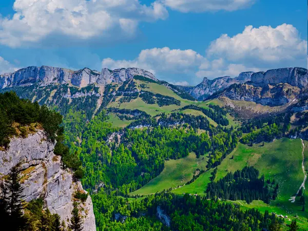 Uçsuz bucaksız dağ sıraları ufuk boyunca uzanır, yemyeşil vadileri kaplar..