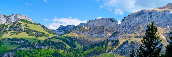Parlak güneş ışığı, dik kayalık tepeler ve aşağıdaki canlı yeşilliklerle dramatik İsviçre Alplerini aydınlatır. Bu çarpıcı manzara, güzel bir günde doğanın dingin güzelliğini yakalar..