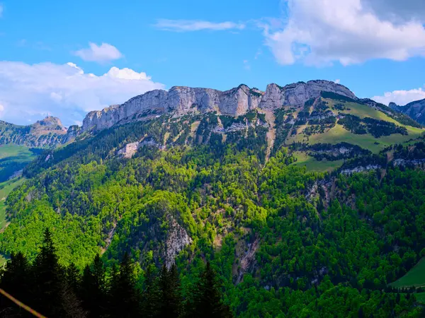 Bereketli yeşil ormanlar görkemli bir dağ sırasının yamaçlarını örtüyor, parlak mavi bir gökyüzüne ve tüylü bulutlara karşı. Yaz güneşi çarpıcı manzarayı aydınlatır..