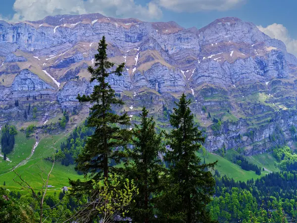 Güneşli bir günde yeşil yapraklar ve uzun kozalaklı ağaçlarla çevrili, arka planda yükselen yüksek dağ sıraları güzellikleri ve dinginliği gözler önüne seriyor..