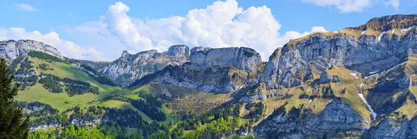 Yükselen dağlar ve yuvarlanan tepeler canlı yeşilliklerle dolu çarpıcı bir yaz manzarası yaratır. Parlak mavi gökyüzü, bu doğal manzaranın huzur veren güzelliğine eklenir..