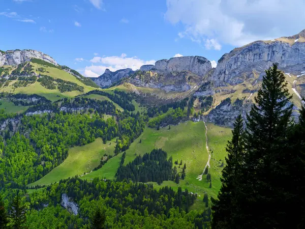 Geniş yeşil tepeler ve kayalık tepeler sakin bir dağ bölgesinde çarpıcı bir zemin oluşturur. Açık mavi gökyüzü manzaranın doğal güzelliğini arttırır, açık havada keşif yapmaya davet eder..