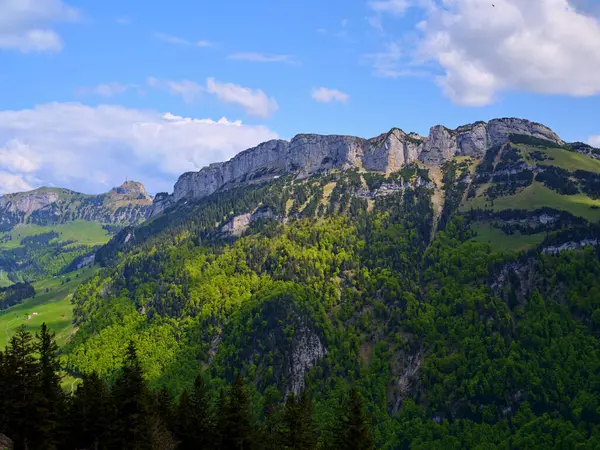 Serene sıradağları tepeler ve parlak mavi bir gökyüzünün altında dağınık bulutlarla canlı yeşil ağaçlar sergiliyor. Doğa bu huzurlu ortamda gelişiyor..