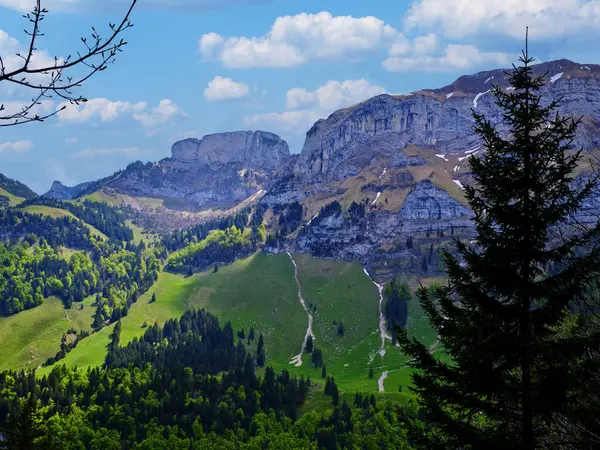 Görkemli dağlar berrak mavi gökyüzüne karşı yükselir, yemyeşil vadileri ve dağılmış ağaçları resimli bir dağlık bölgede sergiler. Gündüz sakin bir atmosfer hakim olur..