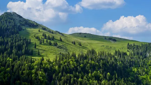 Parlak yeşil tepeler, açık mavi bir gökyüzünün altında ağaçların karışımıyla benekli araziye yayılıyor. Pofuduk bulutlar gün içinde sakin dağ ortamını güçlendirir..