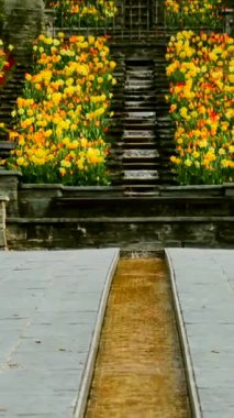 Huzurlu bir bahçede renkli laleler ve taş basamaklar boyunca canlı çiçekler sergilenir ve baharda huzurlu bir atmosfer oluşturur..