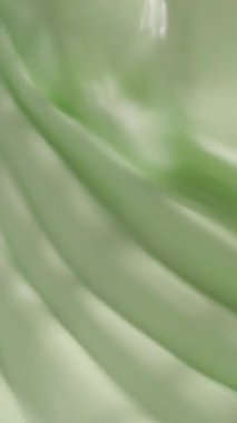 Yakın plan çekimler, açık hava ortamındaki yeşil yaprakların pürüzsüz dokusunu ve ince kıvrımlarını gözler önüne seriyor. Doğal ışık, bu huzurlu anın güzelliğini arttırır..