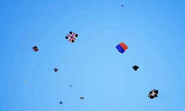 Basant Panchami 'de Gökyüzünde Renkli Uçurtmalar