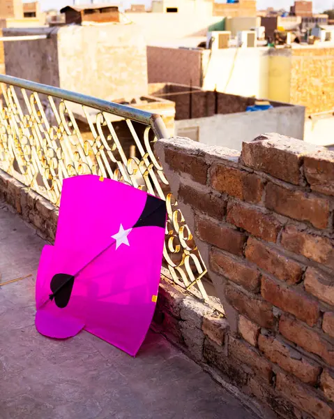 Basant Panchami 'de Uçurtma Festivali Eğlencesi