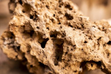 Arka plan bulanık, yüzeysel bir alan derinliğine işaret ediyor. Ön planda açık kahverengi, gözenekli bir kaya var. Kayanın yüzeyi çok desenli, sayısız düzensiz delik ve çatlaklarla dolu. Ana konumuz, şu detaylı doku. 