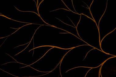 Karmaşık, kehribar renkli dallar koyu siyah bir zemin boyunca yayılarak çarpıcı bir kontrast oluşturur. İnce, kıvrımlı çizgiler, kökleri ya da damarları anımsatan, zarif ve gizemli bir şablon oluşturan doğal bir ağı işaret ediyor.