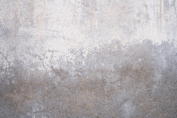 The photograph showcases a detailed close-up of a textured wall. The upper portion reveals a lighter, almost white concrete surface, speckled with darker gray areas, indicating age and weathering.  The lower half transitions to a darker, more uniform