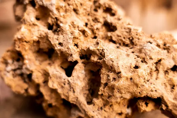 Arka plan bulanık, yüzeysel bir alan derinliğine işaret ediyor. Ön planda açık kahverengi, gözenekli bir kaya var. Kayanın yüzeyi çok desenli, sayısız düzensiz delik ve çatlaklarla dolu. Ana konumuz, şu detaylı doku. 