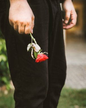 Yakından bakınca bir insanın eli hafifçe solmuş kırmızı bir gül tutuyor. Sessiz arka plan ve düşünceli duruş tefekkür ya da hatırlama duygusunu çağrıştırıyor. Görüntü, sevgi, kayıp ya da sessiz yansıma duygularını iletir.