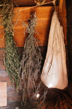 Duvarında yeşil yapraklar olan kuru odun.