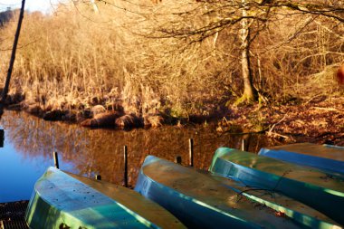 Sonbaharda günbatımında resim gibi orman gölü. Seçici odak