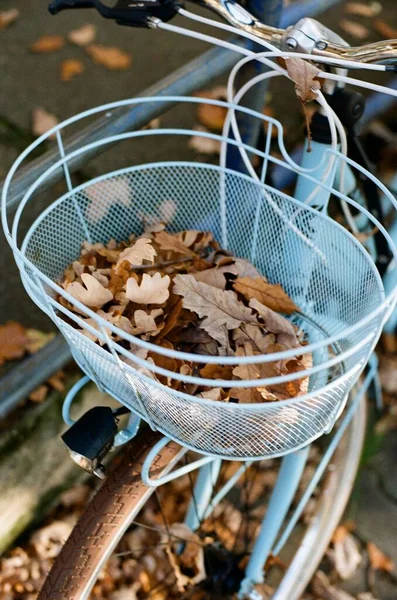 Old Vintage Bicycle Basket Autumn Leaves — Stock Photo, Image