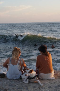 Köpekler ve kadınlar sörfçülerle okyanus manzarasının keyfini çıkarıyorlar. Figera da foz, Portekiz 