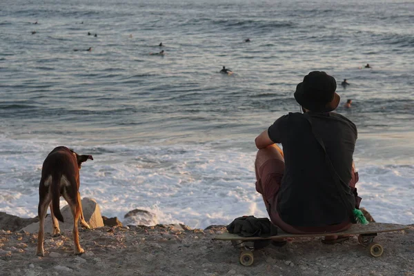 Anjing Dan Manusia Menikmati Pemandangan Laut Dengan Peselancar Figuera Foz — Stok Foto
