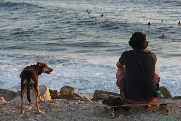 Hund Und Mensch Genießen Meerblick Mit Surfern Figuera Foz Portugal — Stockfoto