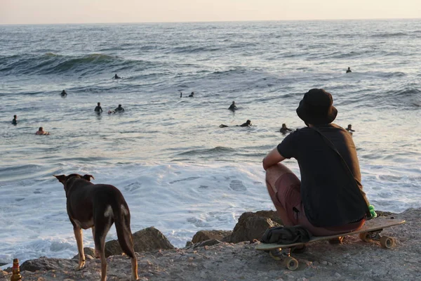 Anjing Dan Manusia Menikmati Pemandangan Laut Dengan Peselancar Figuera Foz — Stok Foto