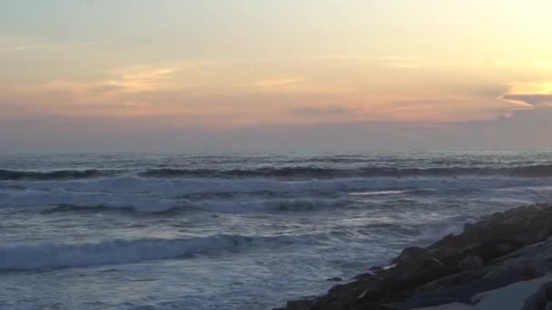 海のサーファーのビデオ映像です ポルトガルのサーフィンフェスティバル フィゲラダフッツ 2023 — ストック動画