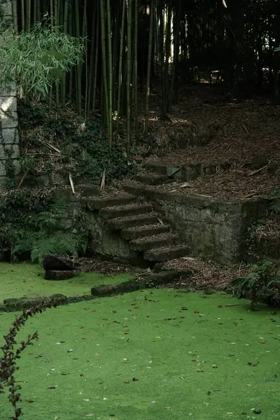 Kebun Tradisional Jepang Dengan Bambu Dan Kolam — Stok Foto