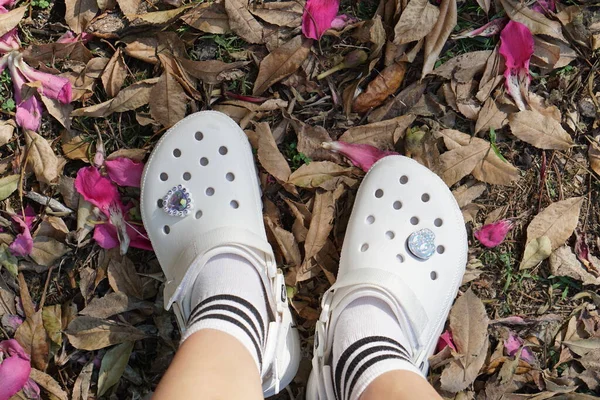 Pés Mulher Usando Sapatos Crocodilos Brancos Pernas Folhas Secas Estação Imagens Royalty-Free