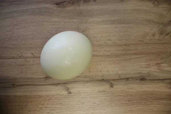 Большое Цельное Белое Страусиное Яйцо Деревянном Фоне Стоковое Изображение